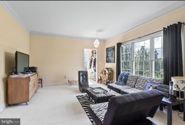 Interior, Living room, Pendant Lights
