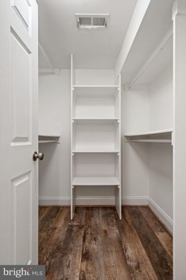 Interior, Walk-in Closets, Wood Texture Flooring