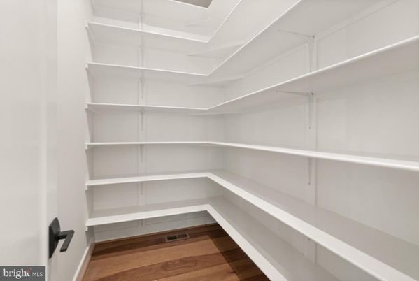 Interior, Walk-in Closets, Wood Texture Flooring