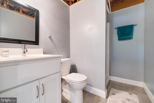 Bathroom, Interior, Wood Texture Flooring