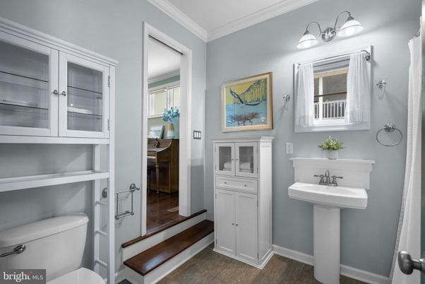 Bathroom, Interior, Wood Texture Flooring