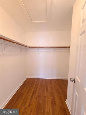 Interior, Walk-in Closets, Wood Texture Flooring