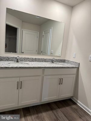 Bathroom, Dual Sink Vanities, Interior, Wood Texture Flooring