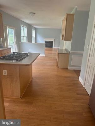 Fireplace, Interior, Kitchen, Wood Texture Flooring