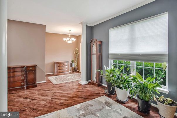 Chandelier, Interior, Wood Texture Flooring