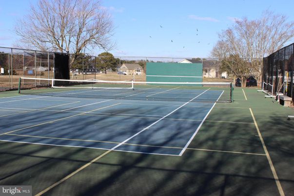 Exterior, Tennis Courts