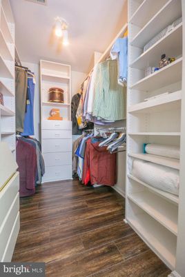 Interior, Walk-in Closets, Wood Texture Flooring