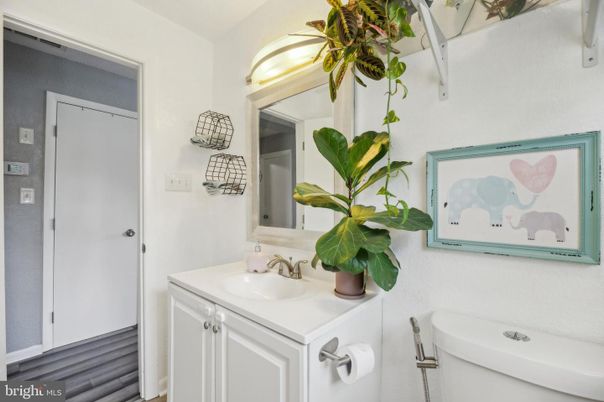 Bathroom, Interior, Wood Texture Flooring