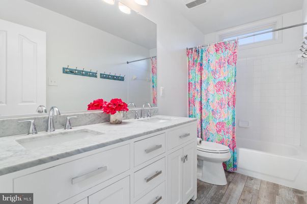 Bathroom, Interior, Wood Texture Flooring