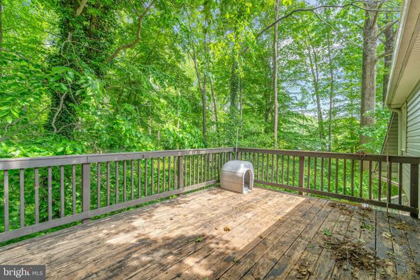 Backyard, Exterior, Wood Texture Flooring