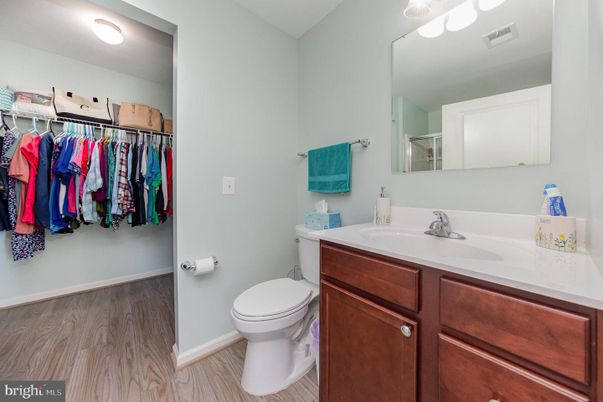 Bathroom, Interior, Walk-in Closets, Wood Texture Flooring