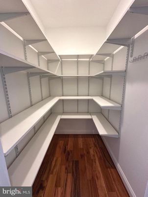 Interior, Walk-in Closets, Wood Texture Flooring