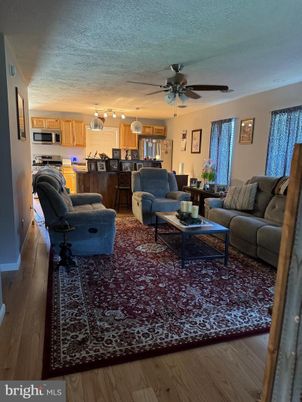 Interior, Kitchen, Living room, Pendant Lights, Stainless Steel Appliances, Wood Texture Flooring