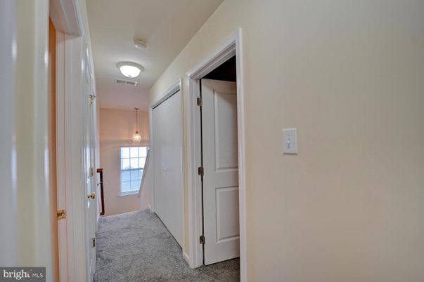 Interior, Pendant Lights