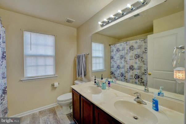 Bathroom, Dual Sink Vanities, Interior, Wood Texture Flooring