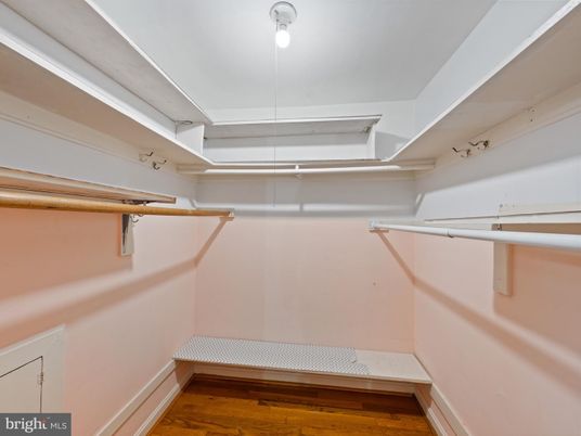 Interior, Walk-in Closets, Wood Texture Flooring