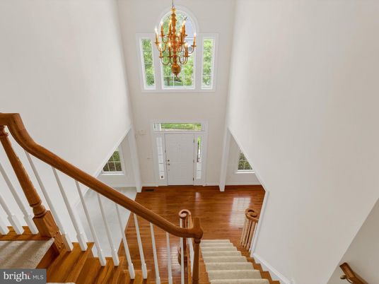 Chandelier, Interior, Wood Texture Flooring