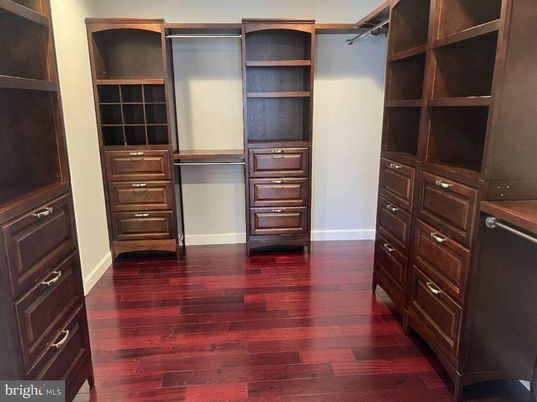 Interior, Walk-in Closets, Wood Texture Flooring