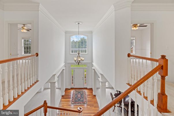 Chandelier, Interior, Wood Texture Flooring