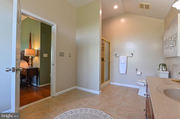 Bathroom, Interior, Recessed Lighting, Wood Texture Flooring