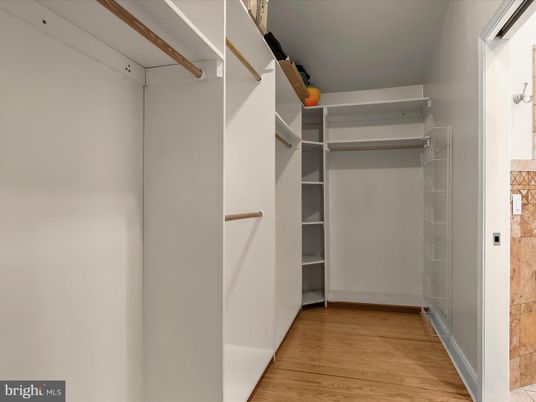 Interior, Walk-in Closets, Wood Texture Flooring