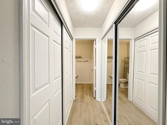 Bathroom, Interior, Walk-in Closets, Wood Texture Flooring