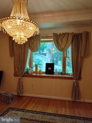 Chandelier, Interior, Wood Texture Flooring