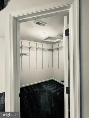 Interior, Walk-in Closets, Wood Texture Flooring