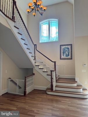 Chandelier, Interior, Wood Texture Flooring