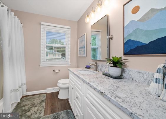 Bathroom, Interior, Wood Texture Flooring