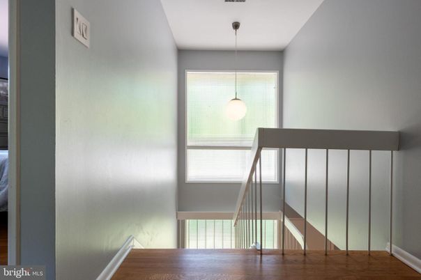 Interior, Pendant Lights