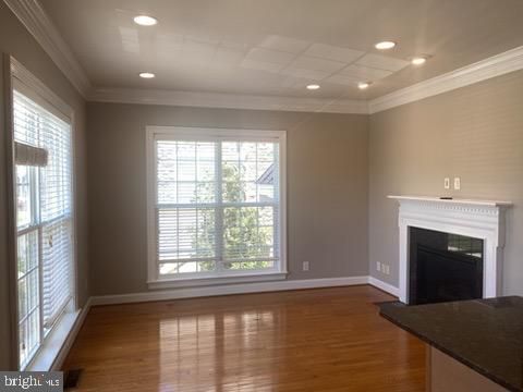 Empty room, Fireplace, Interior, Recessed Lighting, Wood Texture Flooring