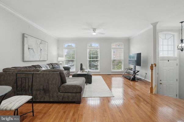 Interior, Living room, Pendant Lights, Wood Texture Flooring