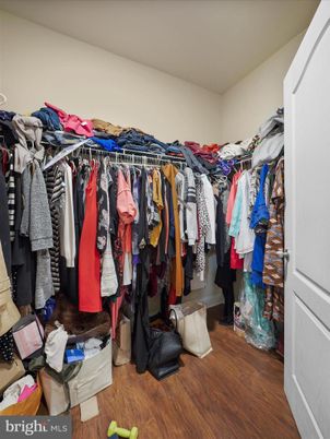 Interior, Walk-in Closets, Wood Texture Flooring
