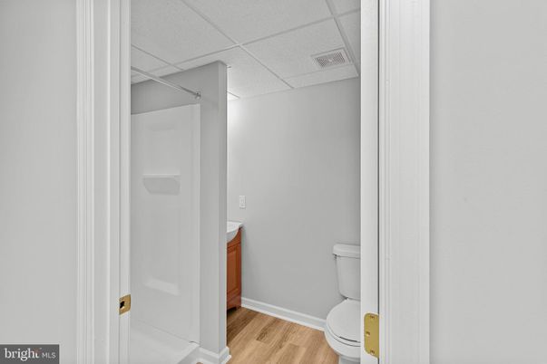 Bathroom, Interior, Wood Texture Flooring