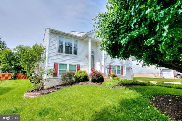 Backyard, Exterior, Facade, Raised Ranch