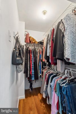 Interior, Walk-in Closets, Wood Texture Flooring