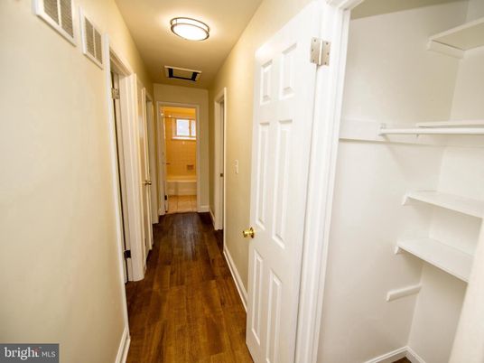Interior, Walk-in Closets, Wood Texture Flooring