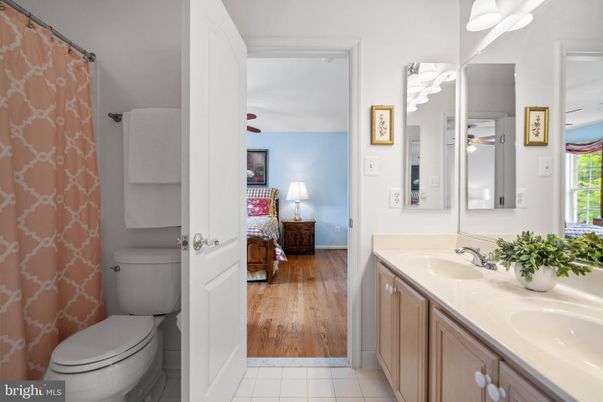 Bathroom, Dual Sink Vanities, Interior, Wood Texture Flooring