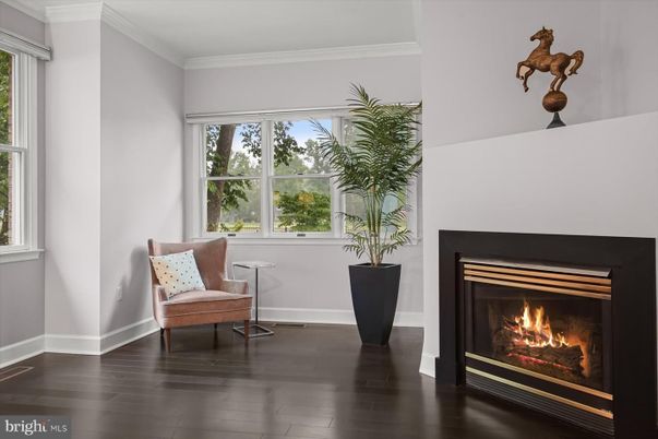 Fireplace, Interior, Wood Texture Flooring