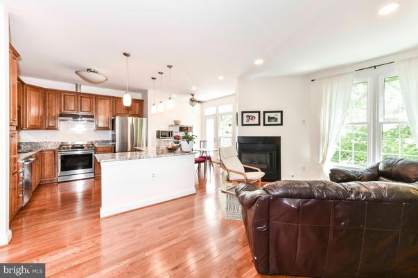Fireplace, Interior, Kitchen, Living room, Pendant Lights, Recessed Lighting, Stainless Steel Appliances, Wood Texture Flooring