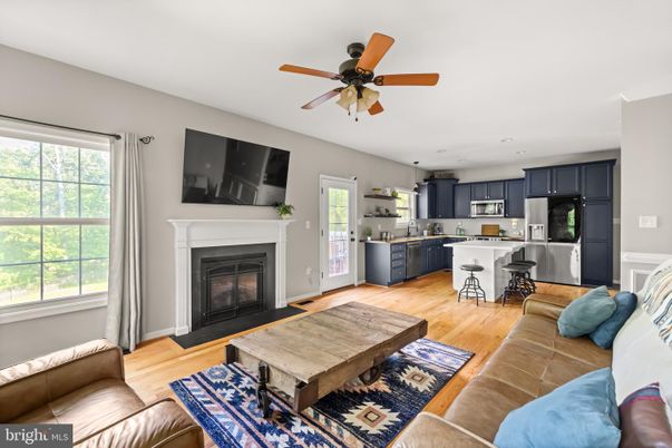 Fireplace, Interior, Kitchen, Living room, Stainless Steel Appliances, Wood Texture Flooring