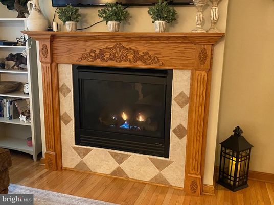 Fireplace, Interior, Wood Texture Flooring
