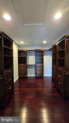 Interior, Recessed Lighting, Walk-in Closets, Wood Texture Flooring