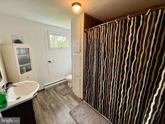 Bathroom, Interior, Wood Texture Flooring