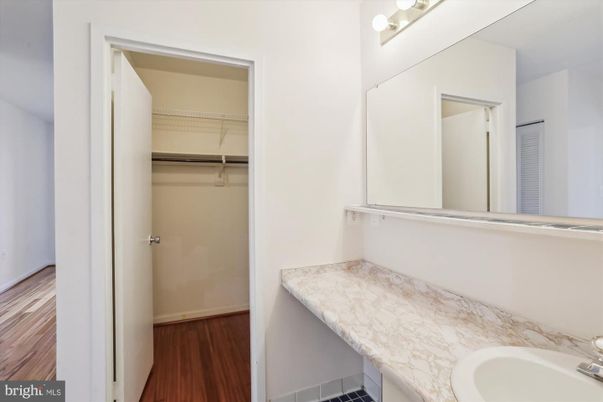 Bathroom, Interior, Walk-in Closets, Wood Texture Flooring