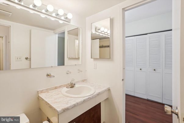 Bathroom, Dual Sink Vanities, Interior, Wood Texture Flooring