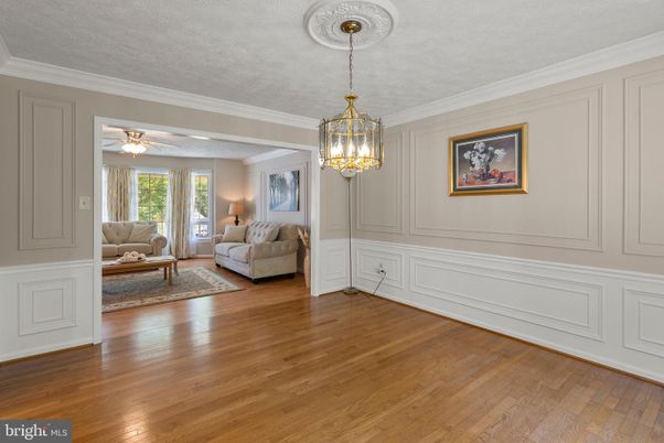 Interior, Living room, Pendant Lights, Wood Texture Flooring