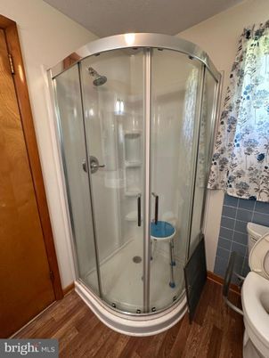 Bathroom, Glass Shower, Interior, Wood Texture Flooring