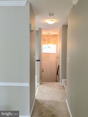 Interior, Pendant Lights